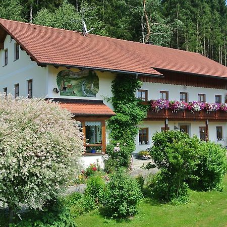 Haus Am Waldrand - Ferienwohnung Augustin Grafenau  Luaran gambar