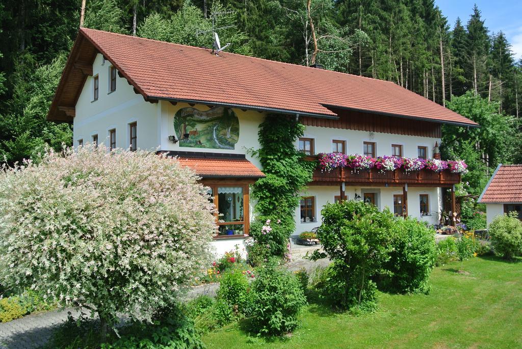 Haus Am Waldrand - Ferienwohnung Augustin Grafenau  Luaran gambar
