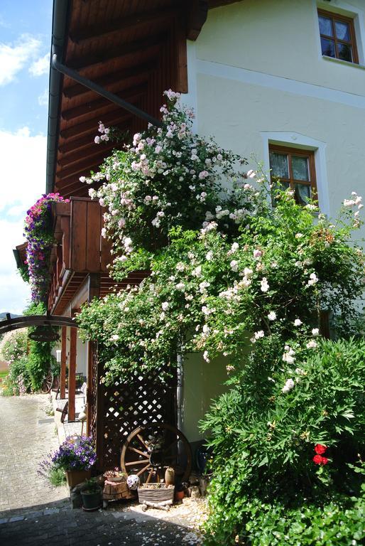 Haus Am Waldrand - Ferienwohnung Augustin Grafenau  Luaran gambar